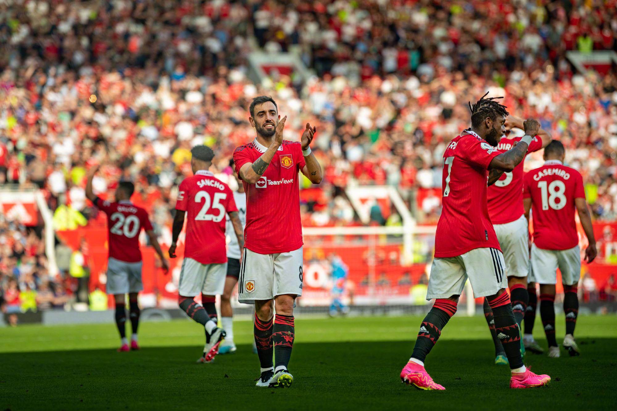 顽强的斗志 顽强的斗志